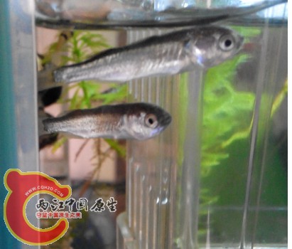 QQ截图20140317131648.jpg