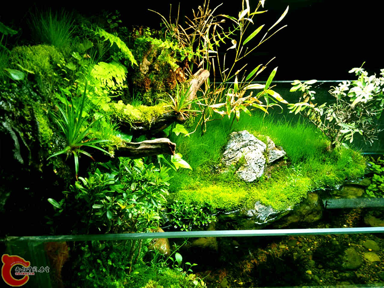 IMG20140317200039_副本.jpg