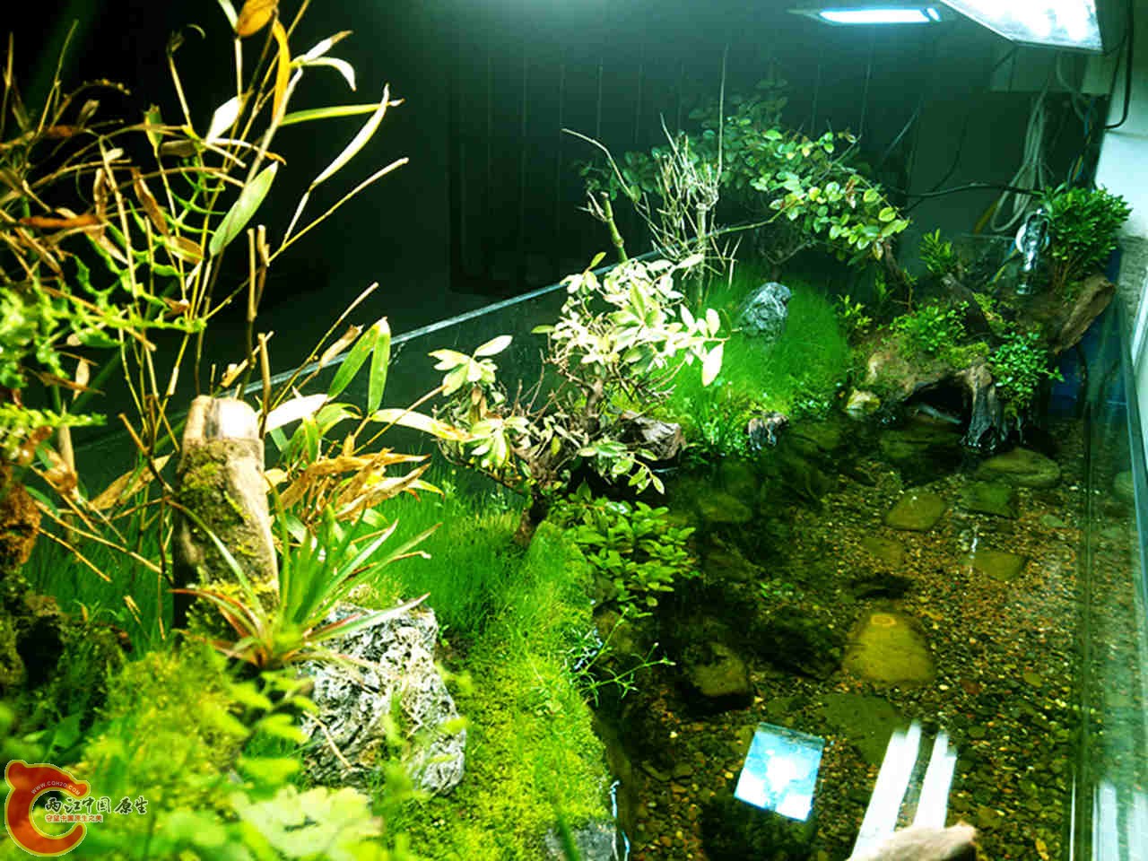 IMG20140317201256_副本.jpg