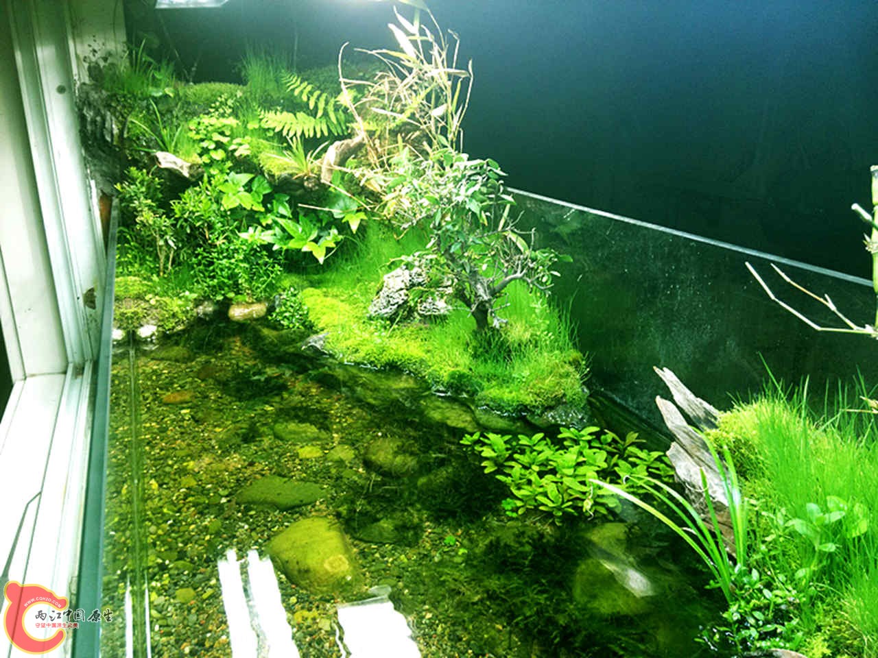 IMG20140317201055_副本.jpg
