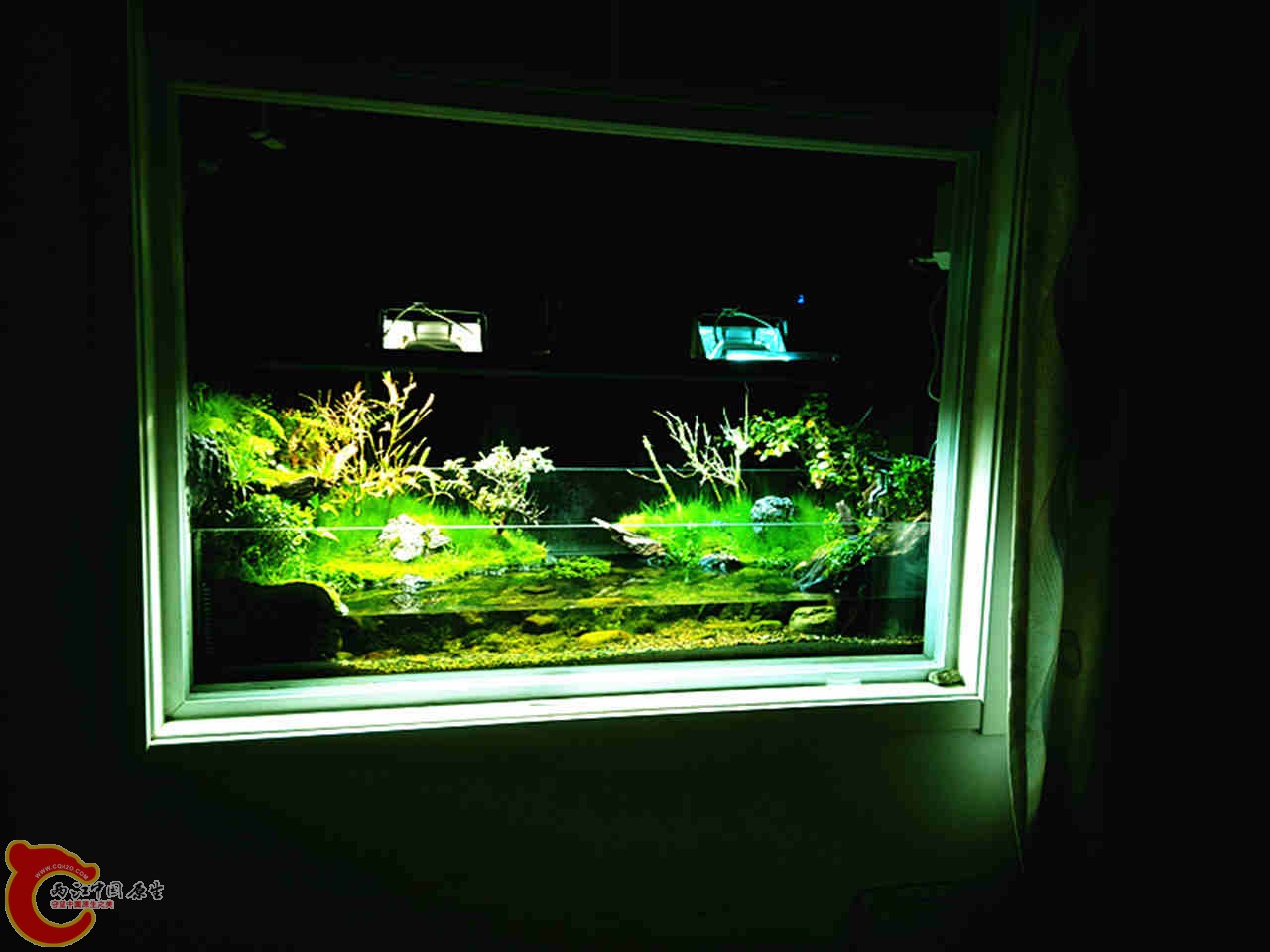 IMG20140317200608_副本.jpg