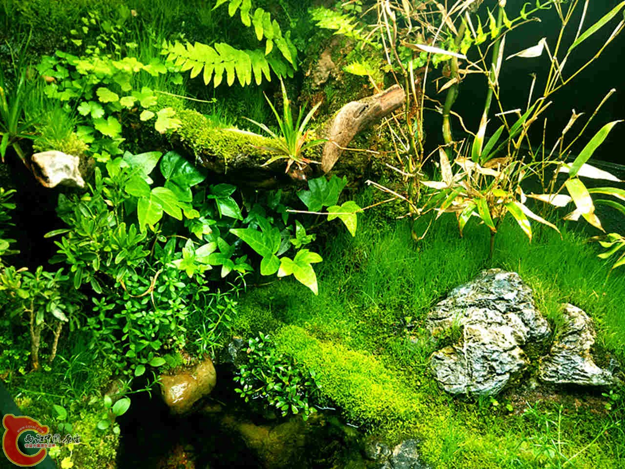IMG20140317200354_副本.jpg