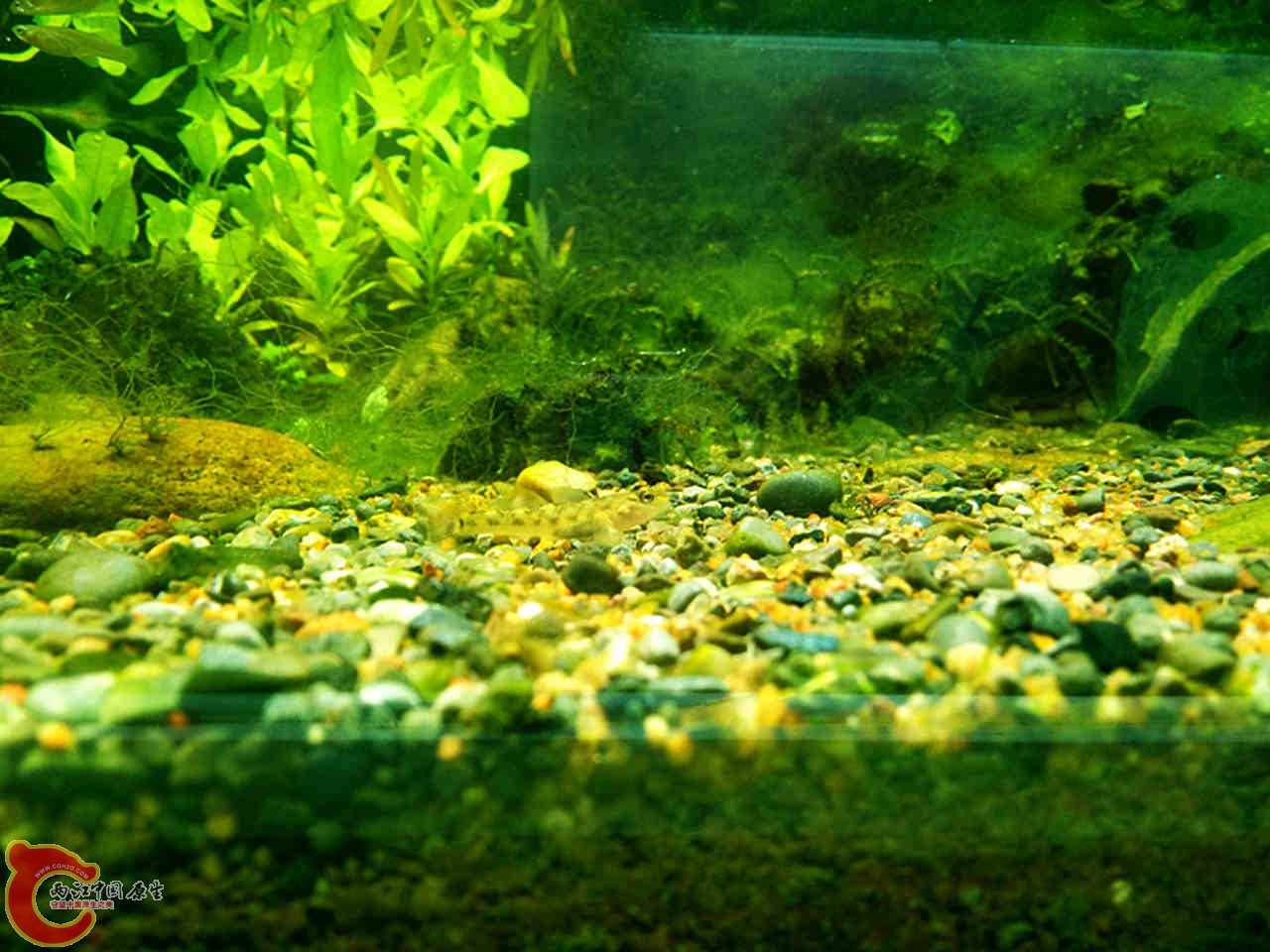 IMG20140317200202_副本.jpg