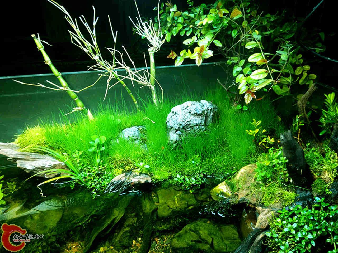 IMG20140317200051_副本.jpg