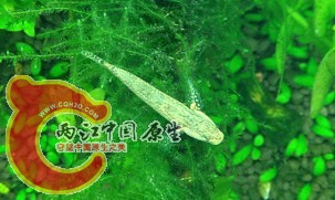 QQ图片20140318143313.jpg