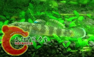 QQ图片20140318143346.jpg