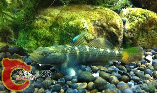 IMG_3219.jpg