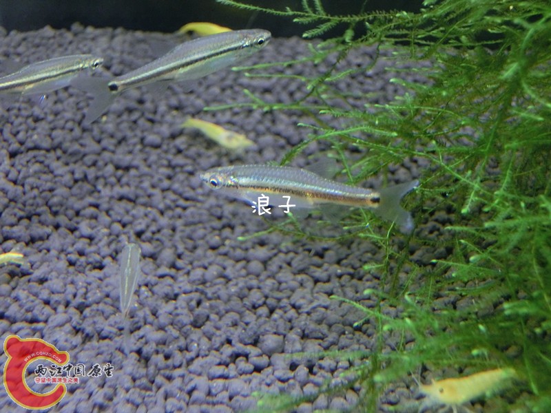 CIMG7600_副本.jpg