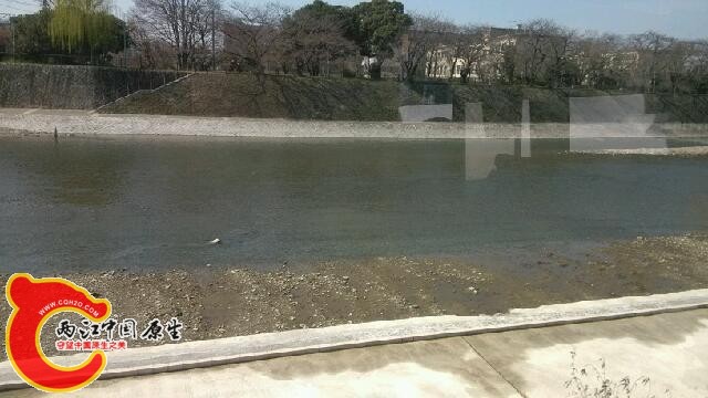 IMG_20140319_123032.jpg