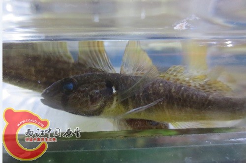 QQ截图20140324025817.jpg