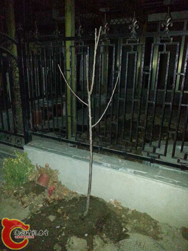 1835003223.jpg