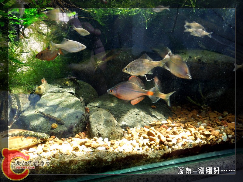 DSCN6637.jpg