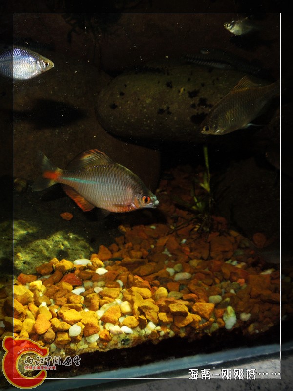 DSCN6640.jpg