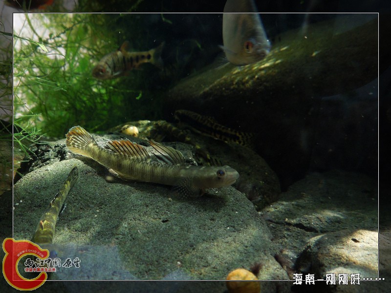 DSCN6671.jpg
