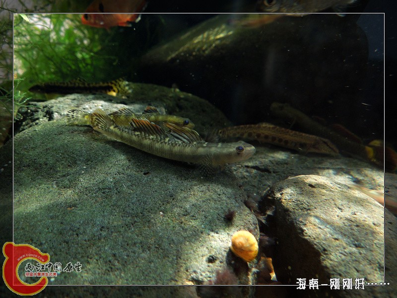 DSCN6675.jpg