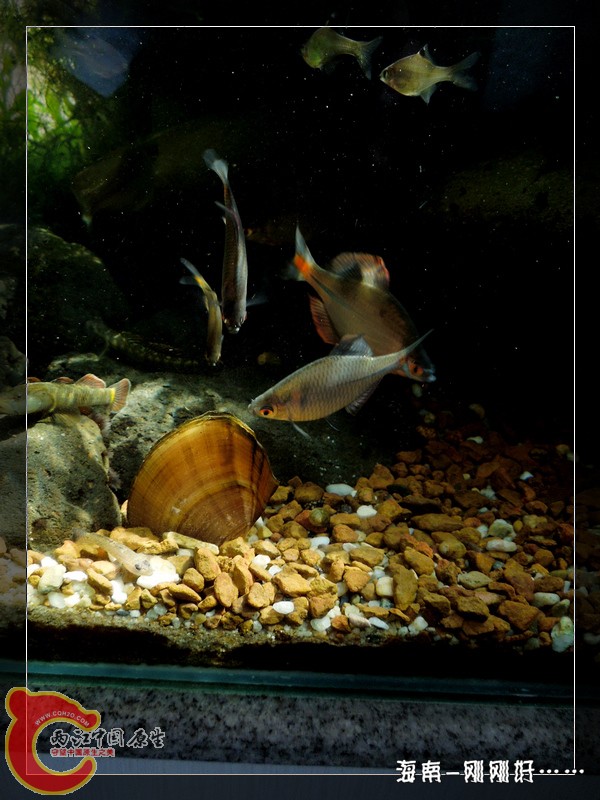 DSCN6688.jpg