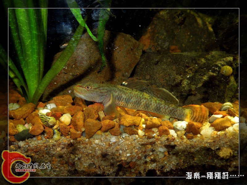 DSCN6711.jpg