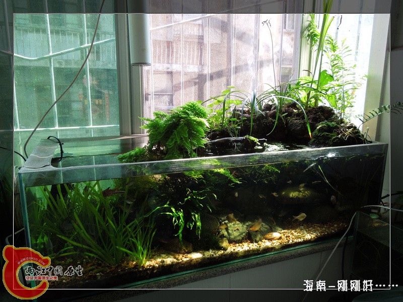 DSCN6715.jpg