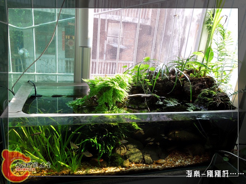 DSCN6773.jpg