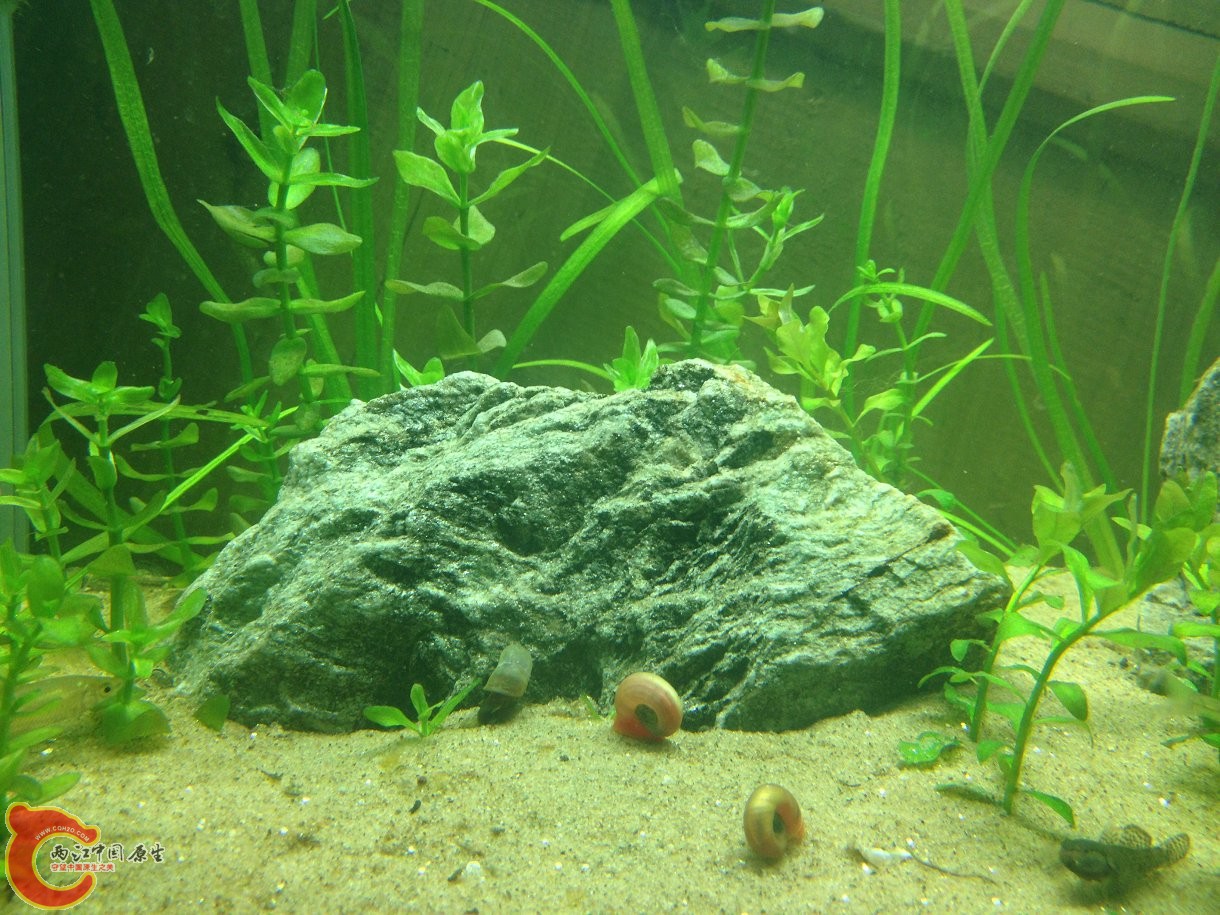 IMG_3028.JPG
