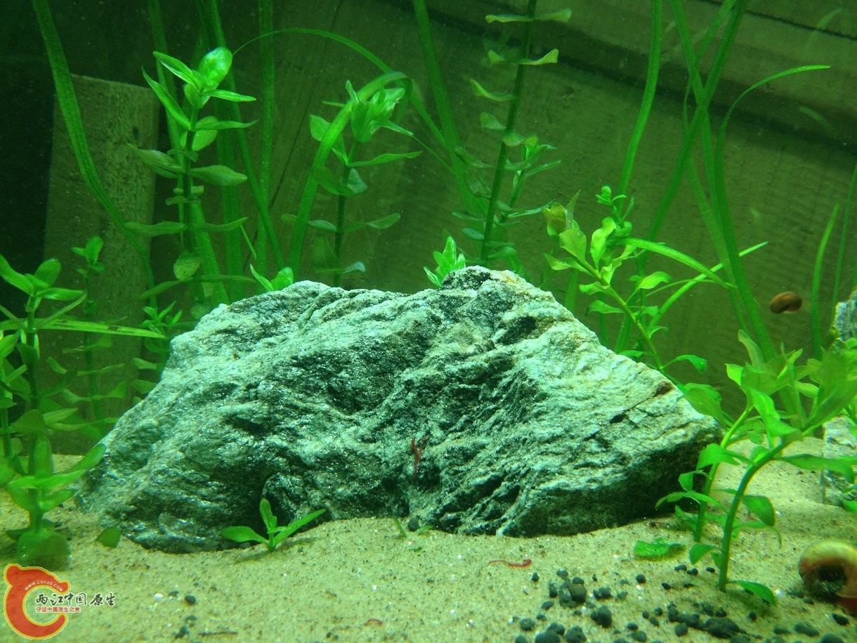 IMG_3073.JPG