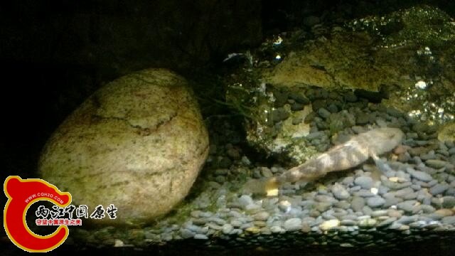 IMG_20140409_224457.jpg
