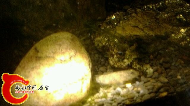 IMG_20140409_224353.jpg