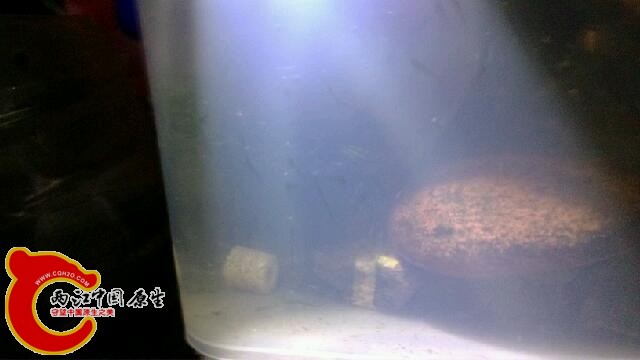 IMG_20140409_224319.jpg