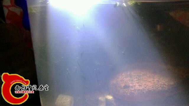 IMG_20140409_224312.jpg
