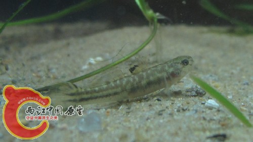 QQ截图20140410211436.jpg