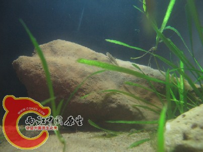 QQ截图20140410211512.jpg