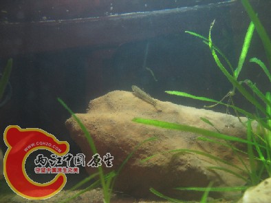 QQ截图20140410211524.jpg