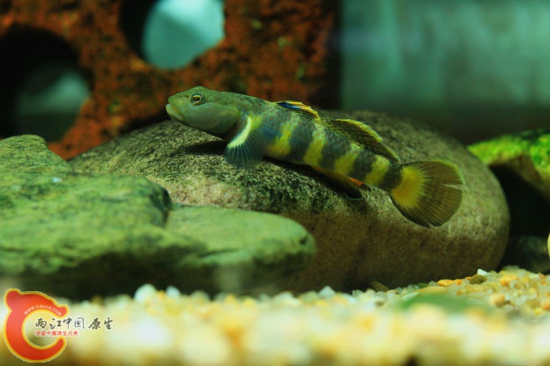 IMG_2106_副本.jpg