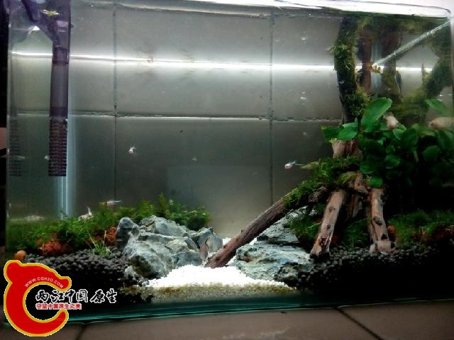 IMG20140412232333.jpg
