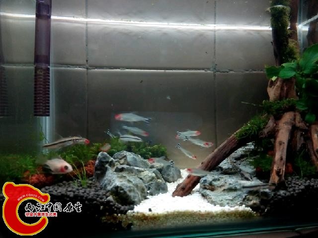IMG20140414190927.jpg