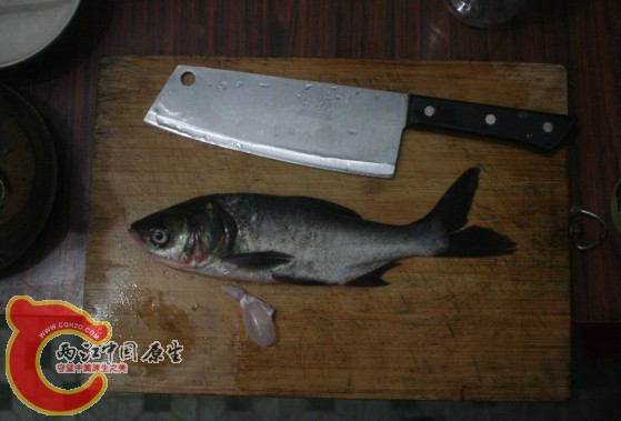 20140412小洲村野采