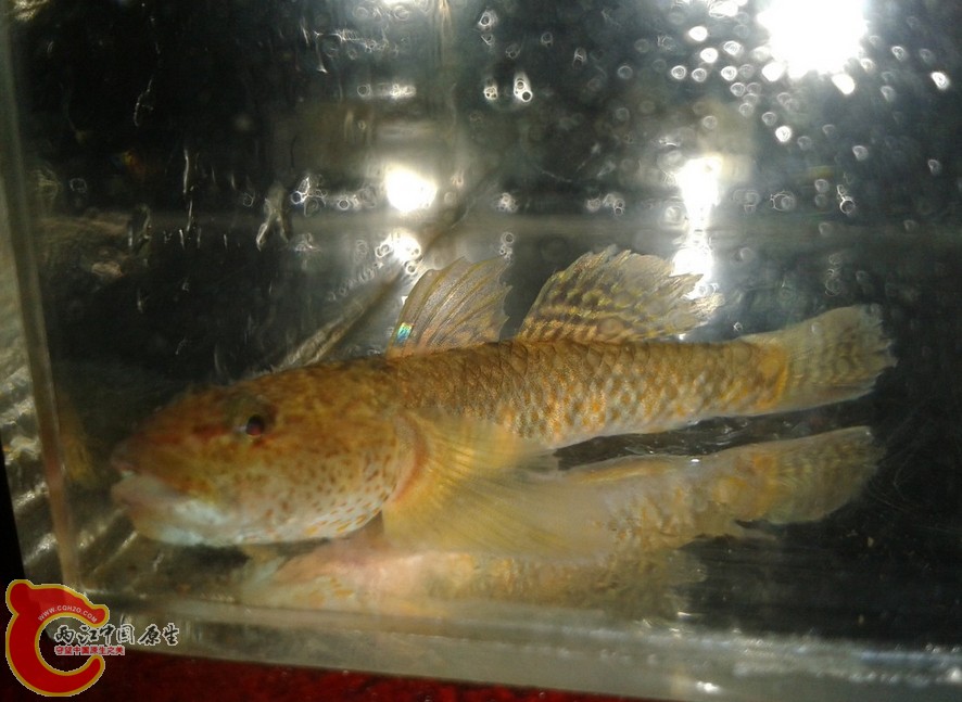 QQ图片20140416140407.jpg