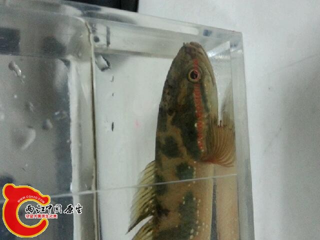 20140417_005621.jpg