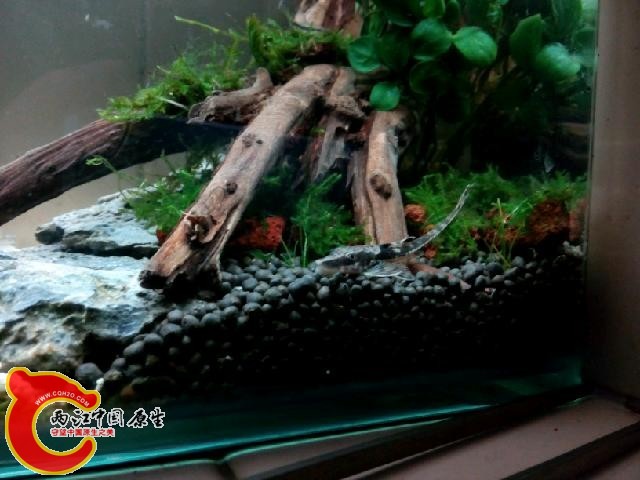 IMG20140414231235.jpg