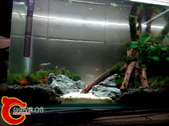 IMG20140414231250.jpg