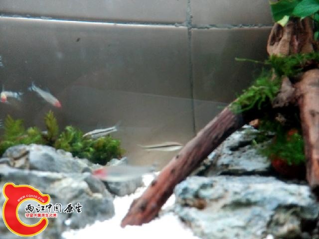 IMG20140414190945.jpg