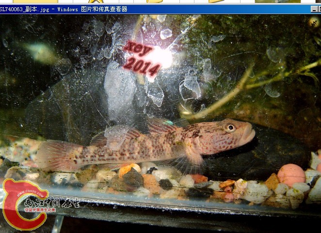SL740063_副本.jpg