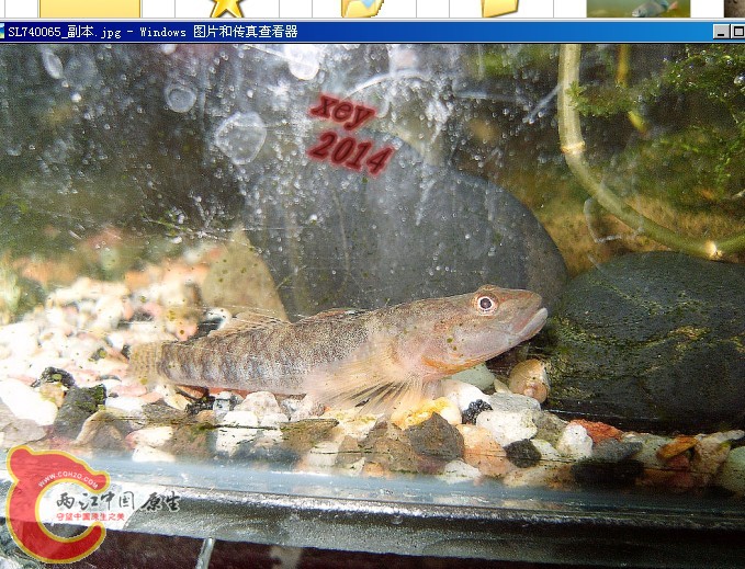 SL740065_副本.jpg