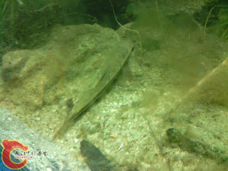 IMG_20140421_130856.jpg