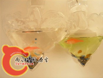 2008428135052.jpg