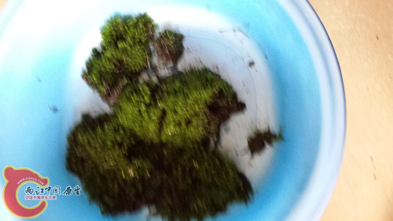 20140426_122239_副本.jpg