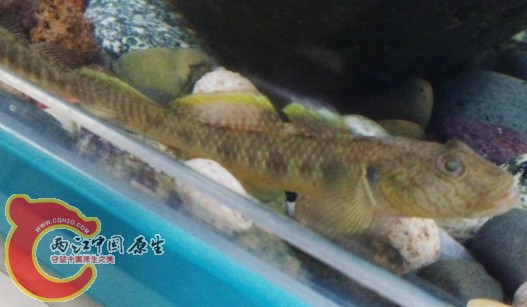 QQ图片20140426145729.jpg