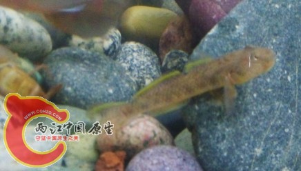 QQ图片20140426145741.jpg