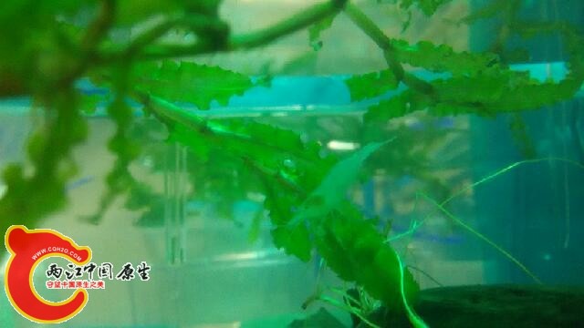 IMG_20140425_185754.jpg