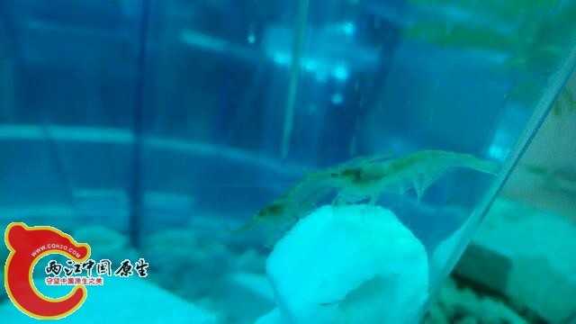 IMG_20140425_105100.jpg
